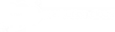 Salesforce Marketing Cloud